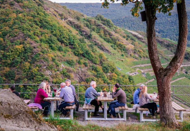 Dining in the vineyards of Ahr | Julia Sergeeva / Shutterstock.com