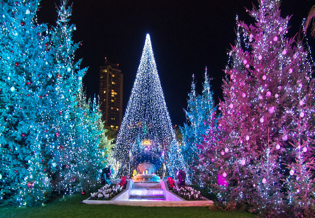 Christmas trees aglow in Canne's old city | Shutterstock