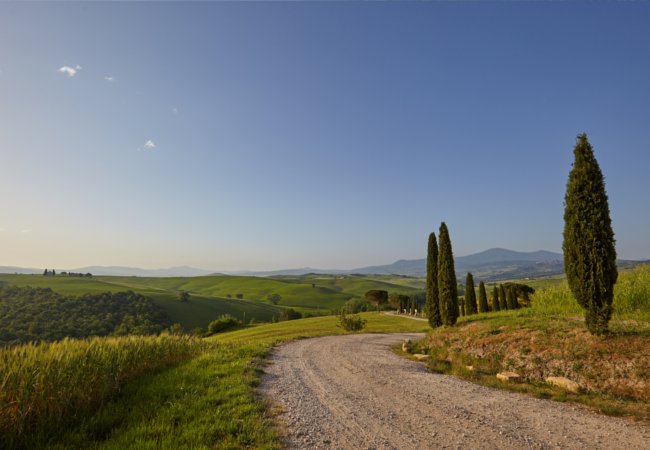 The Strada Statale of Tuscany | Zoom Team/Shutterstock
