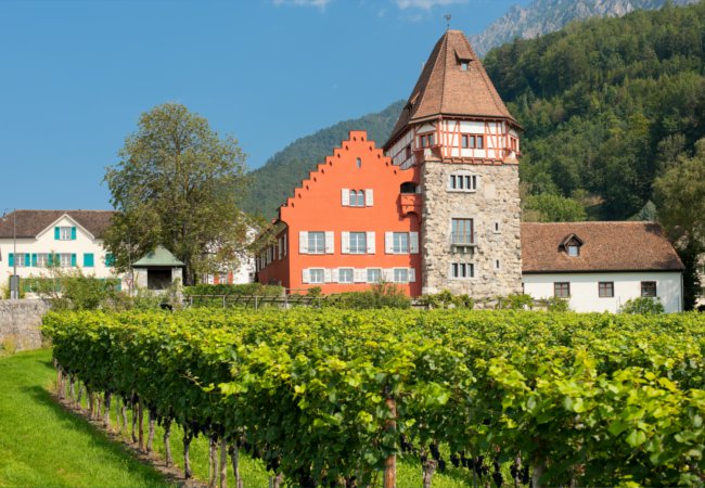 The vineyards of Vaduz | SergiyN/Shutterstock