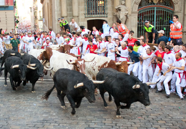 Run of the bulls |                    Photo by Migel / Shutterstock.com