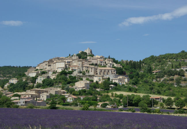 Lavender fields of Provence-Côte d'Azur | France on Wheels