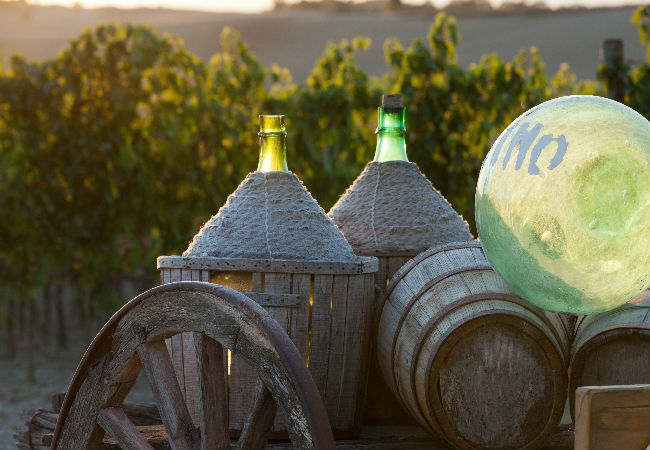 The vinyards of Tuscania | wjarek / Shutterstock
